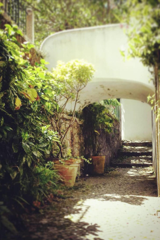 Twilight Hiking in Sintra With a Local Writer - Key Points