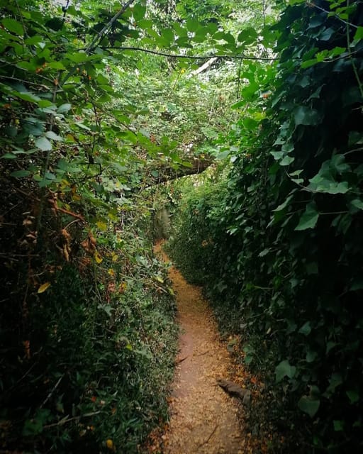 Twilight Hiking in Sintra With a Local Writer - Experience Highlights