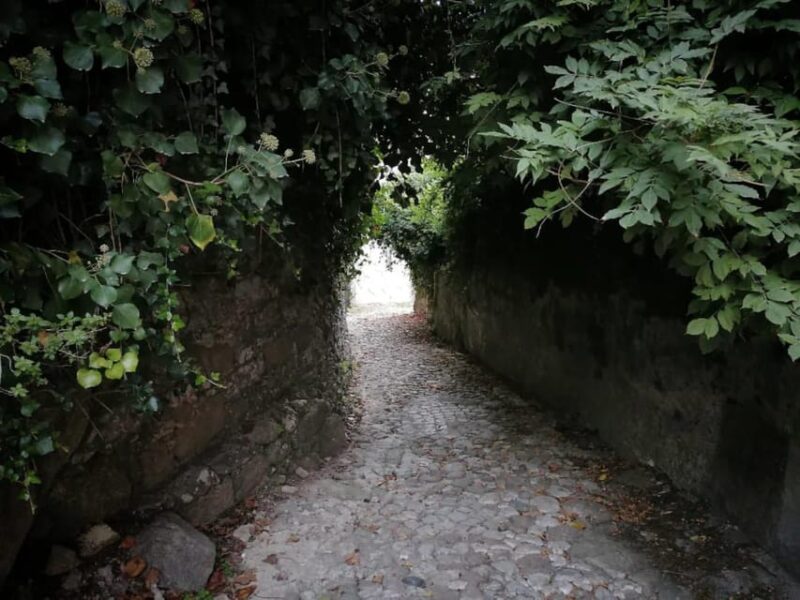 Twilight Hiking in Sintra With a Local Writer - Inclusions and Exclusions