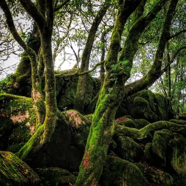 Twilight Hiking in Sintra With a Local Writer - Preparation and Meeting Information