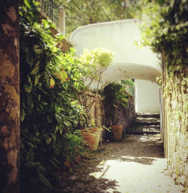 Twilight Hiking in Sintra With a Local Writer - Frequently Asked Questions