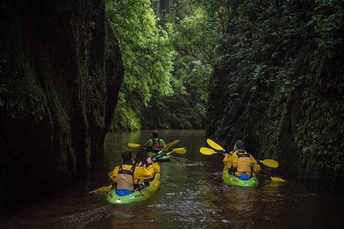 Twilight Kayak Glow Worm Tour - Booking Information