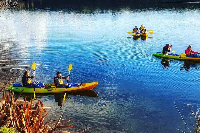 Twilight Kayak Glow Worm Tour - Customer Feedback