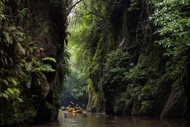 Twilight Kayak Glow Worm Tour - Kayaking on Lake Karapiro