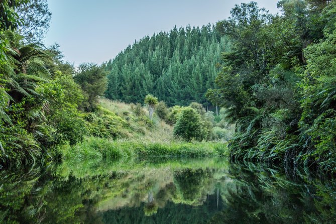 Twilight Kayak Glow Worm Tour - Why Choose This Tour