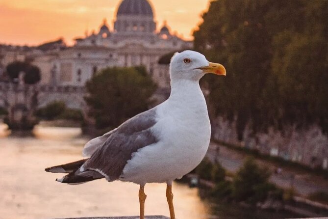 Twilight Magic: Private Golf Cart Tour of Rome With Aperitivo - Customizing Your Tour Experience