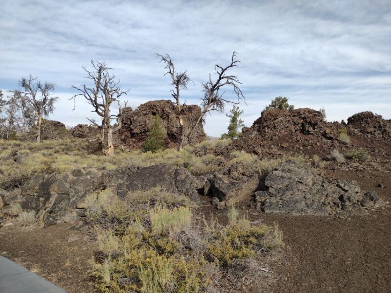 Twin Falls: Craters of the Moon Full-Day Tour With Lunch - Tour Itinerary and Activities