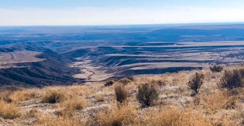 Twin Falls: Off the Beaten Path Guided Half-Day Tour - Earl M. Hardy Box Canyon Springs Nature Preserve