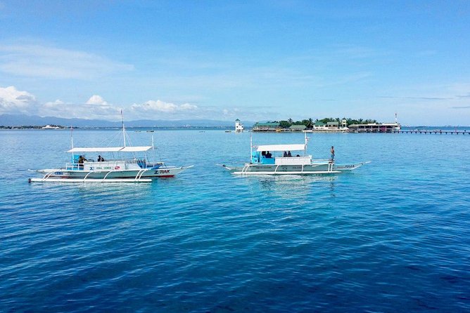 Twin Island Snorkeling Adventure at Hiltungan and Nalsuan - Discovering Marine Life
