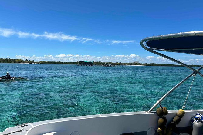 Twin Island Snorkeling Adventure at Hiltungan and Nalsuan - Boat Ride and Scenic Views
