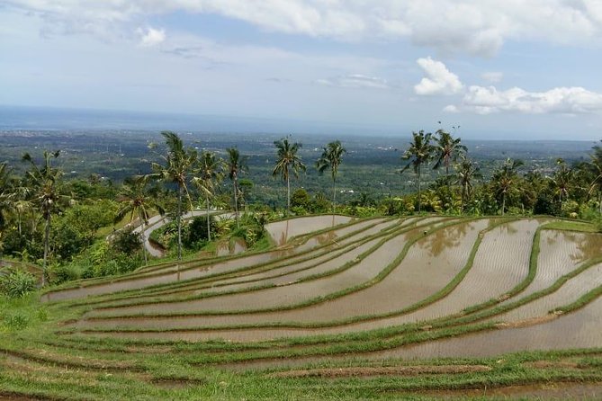 Twin Lake Bali Cycling Tour - Tour Ratings and Reviews
