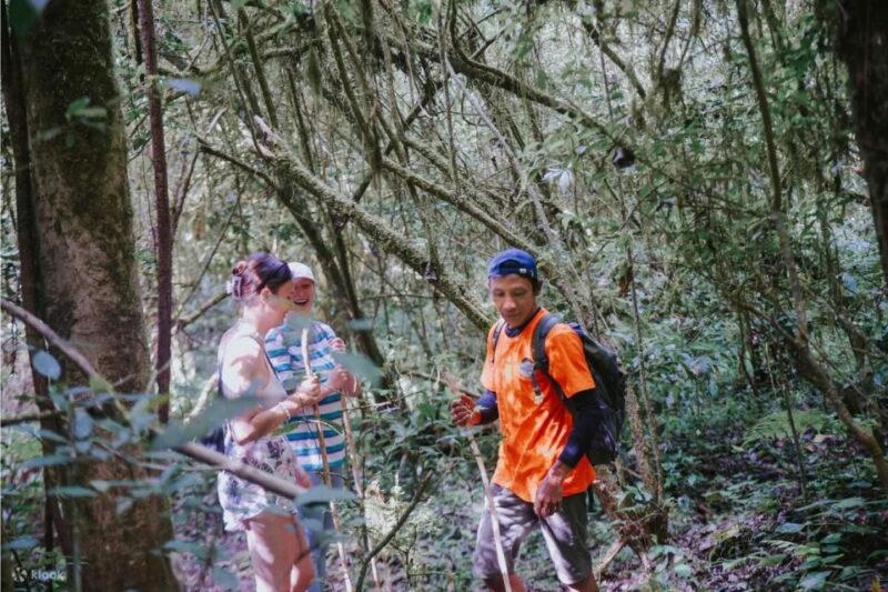 Twin Lake Trekking Combination Visit Banyumala Waterfall - Itinerary and Activities