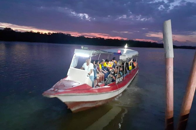 Twinkling Kuala Selangor Firefly Boat Tour From Kuala Lumpur - Itinerary and Highlights