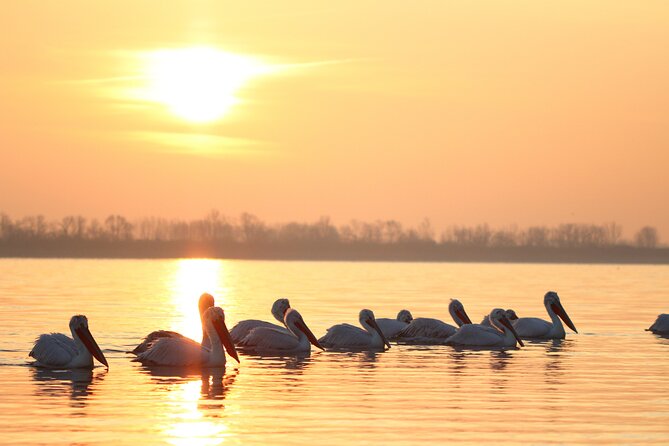 Two-day Birding Trip: Cape Kaliakra & Srebarna Lake - Pricing Details