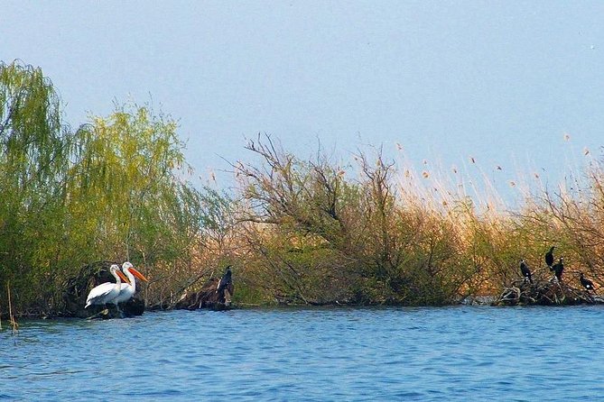 Two-day Birding Trip: Cape Kaliakra & Srebarna Lake - Day 2 Itinerary