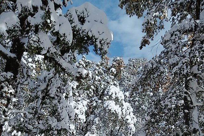 Two Day Guided Trekking of Budher Caves, Deoban and Tigerfall Falls, Chakrata - Overview and Experience