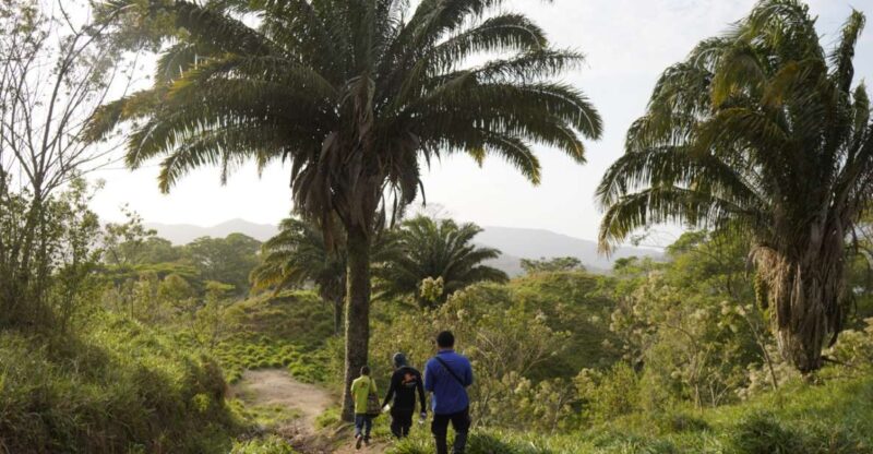 Two-Day Tour: Explore the New Lost City Ctg-Sta Marta - Inclusions