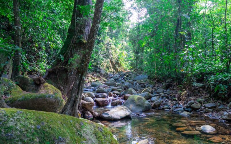 Two-Day Tour: Explore the New Lost City Ctg-Sta Marta - Important Notes