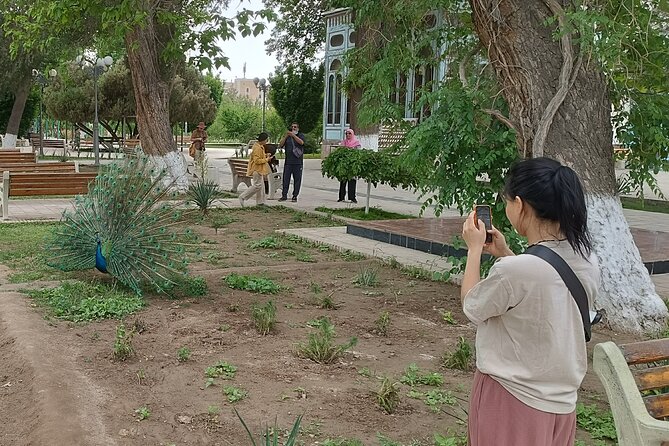 Two Day Tour in Bukhara: Old Town and Countryside - Key Points
