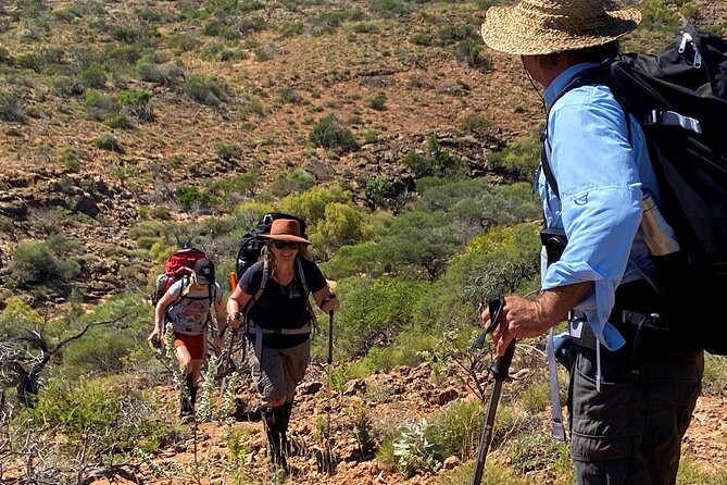 Two-Day Trekking Adventure-Sunset Reef & Range Overnight Loop - Reviews