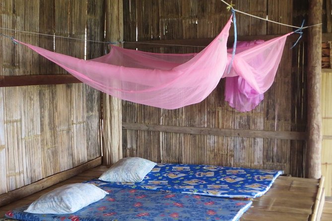 Two Days Doi Inthanon National Park and Karen Trekking - Guest Feedback and Recommendations