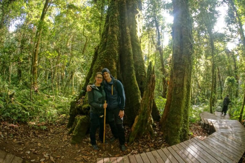 Two Days Doi Inthanon National Park - Day 1 Itinerary