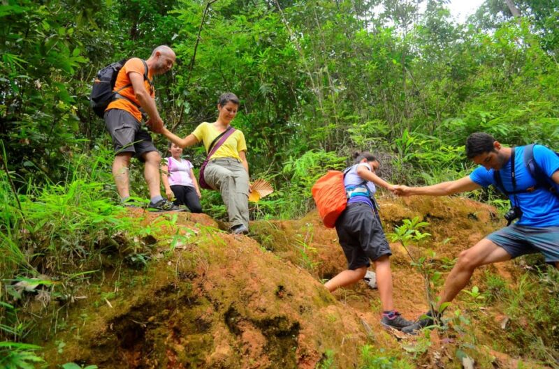 Two Days Hiking in Chiang Mai - Meals and Refreshments