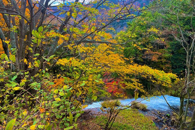 Two Days Nikko Cycling Tour Guided by a Local Monk - Tour Schedule