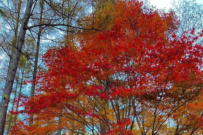 Two Days Nikko Cycling Tour Guided by a Local Monk - Exploring Nikkos Scenic Landscapes