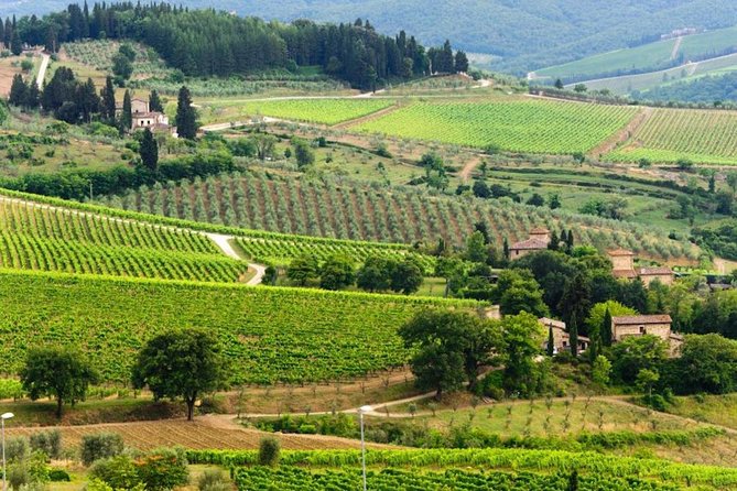 Two Days of Tuscany Discovering the Nobile, Brunello, Chianti Area - Exploring Tuscan Hill Towns
