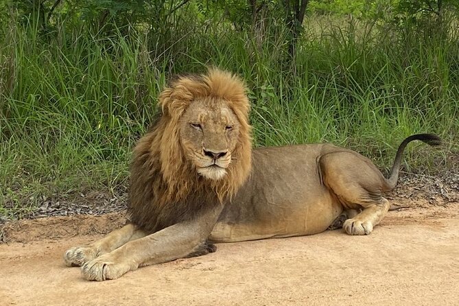 Two Days, One Night Tour: Blyde River to Kruger National Park - Meeting and Pickup