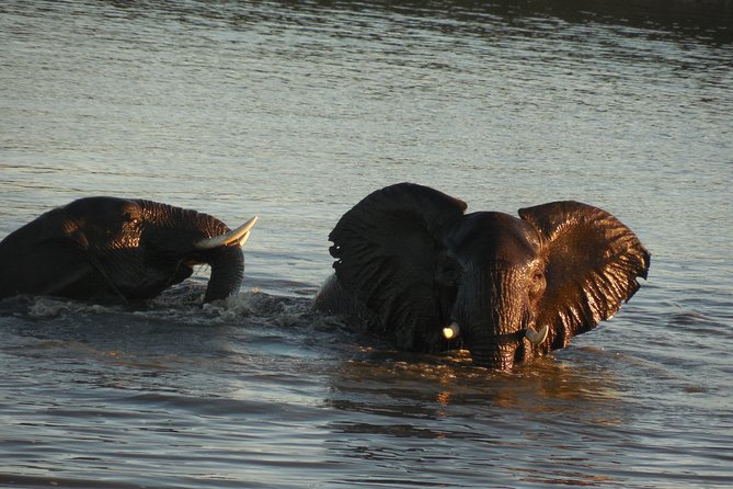 Two Days, One Night Tour: Blyde River to Kruger National Park - Stunning Landscapes