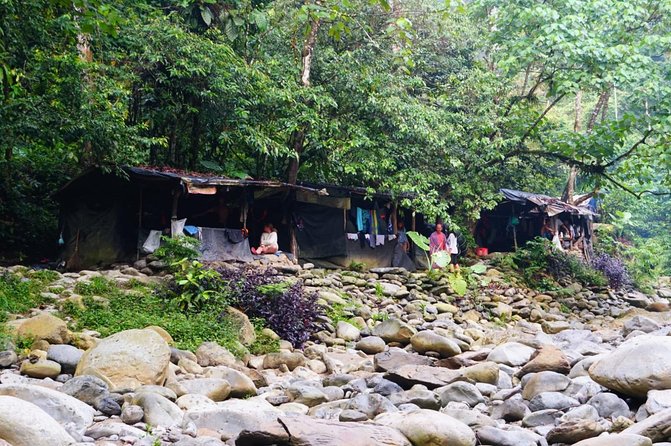 Two Days Orangutans Adventure in Gunung Leuser - Safety and Responsible Viewing