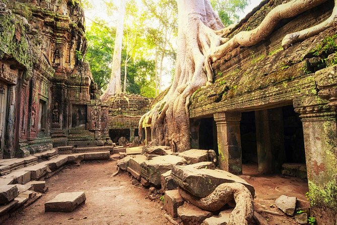 Two-Days Tour Discovering Angkor Wat and Beng Mealea Temple - Discovering Ta Prohm