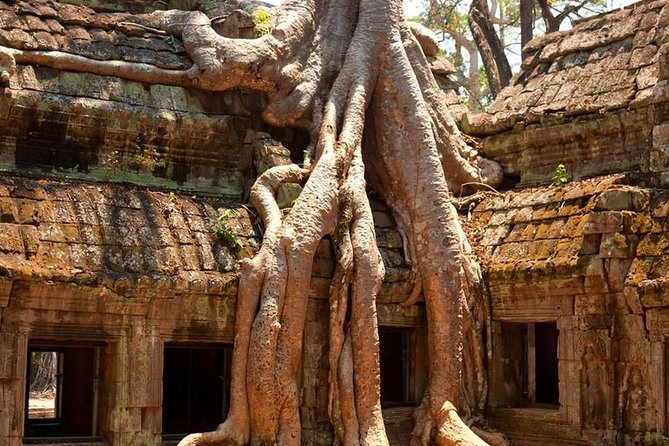 Two-Days Tour Discovering Angkor Wat,The Carving of 1000 Lingas and Beng Mealea - Exploring Angkor Wat