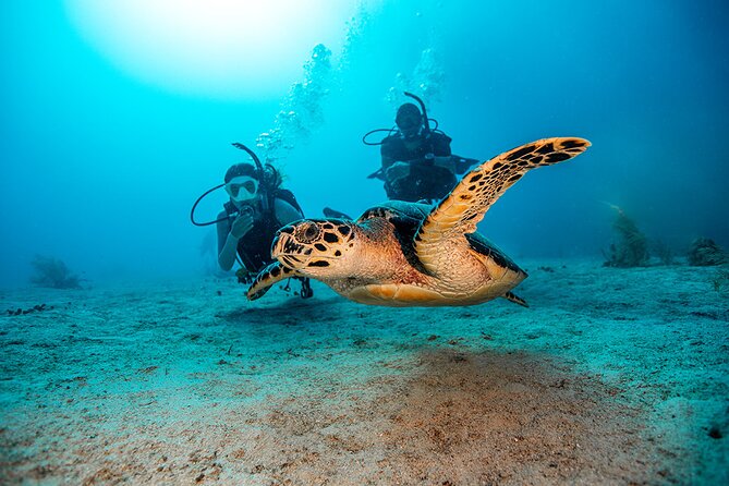 Two Dive Tour | Las Catalinas Islands - Accessibility and Policies
