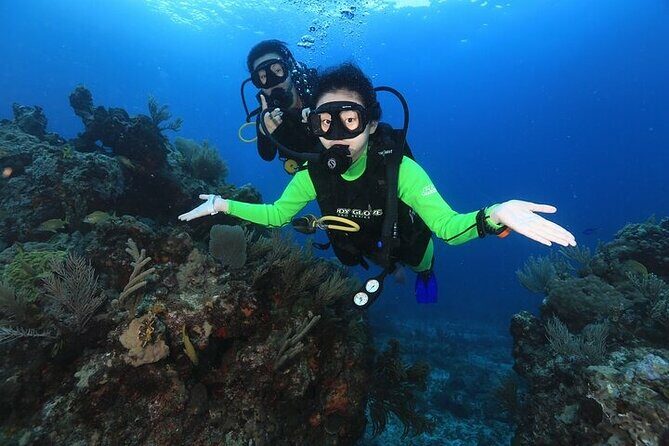 Two Dives and Class for Begginers Divers in Cancun - Why Choose This Tour?