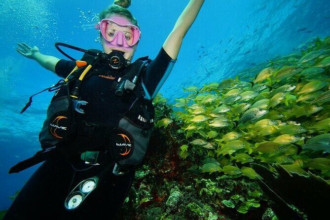 Two Dives and Class for Begginers Divers in Cancun - FAQs