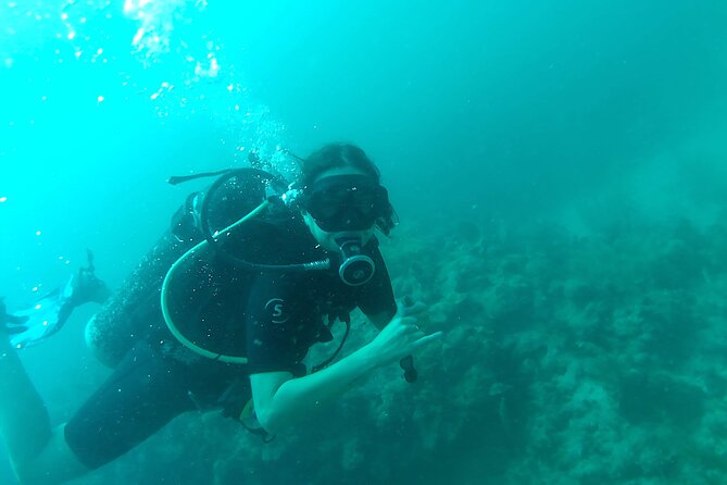 Two Dives for Certificates in the Coral Reef in Mahahual Costa Maya - Meeting and Pickup