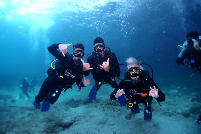 Two Dives for Certified Divers and Snorkeling in Fujairah - Dive Sites and Difficulty Levels