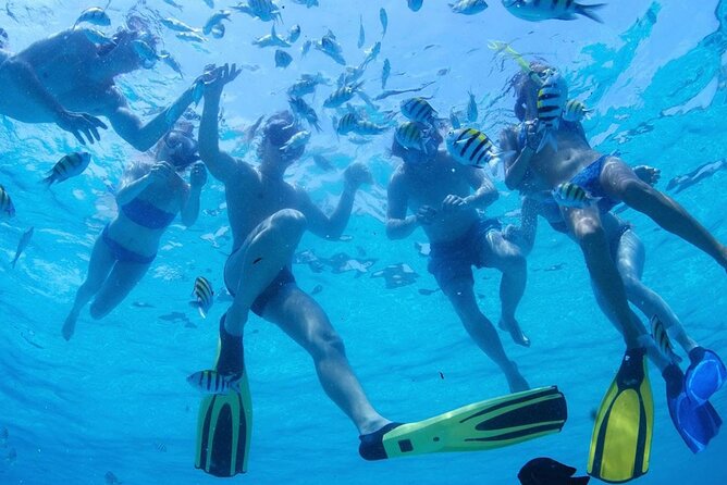 Two Dives for Certified Divers and Snorkeling in Fujairah - Included Equipment and Services