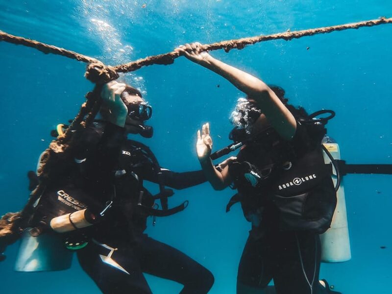 Two Fun Dives in Koh Kood or Koh Rang Marine Park - Key Points