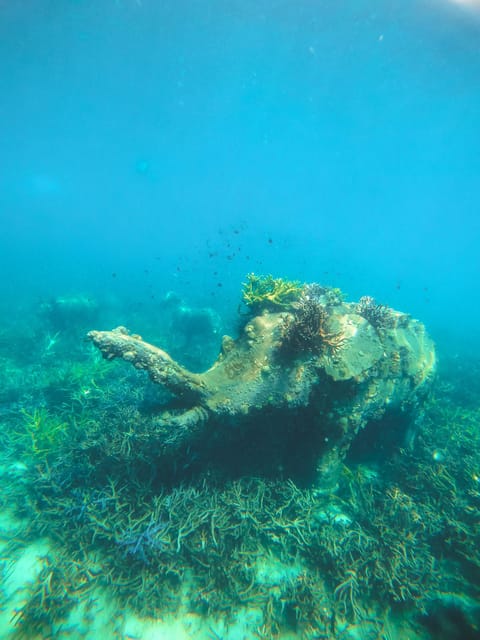 Two Fun Dives in Koh Kood or Koh Rang Marine Park - Medical and Mobility Requirements