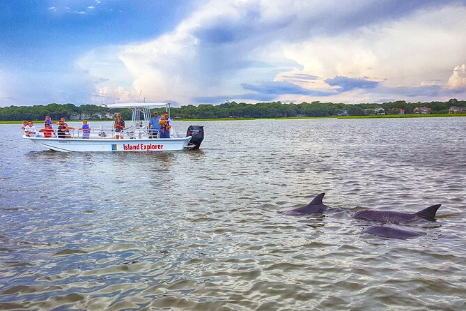 Two Hour Dolphin and Nature Tour - Experienced Local Captains