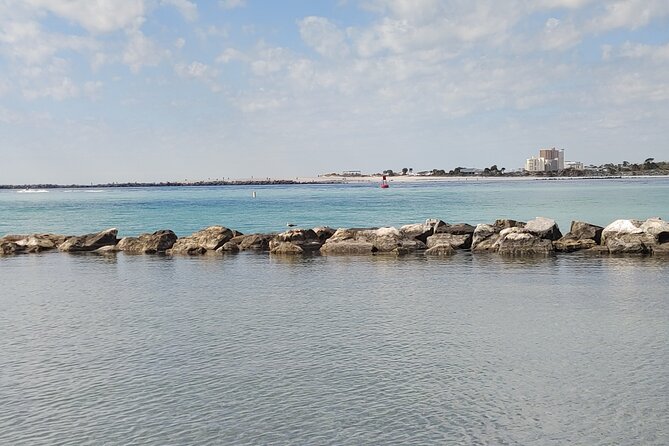 Two Hour Private Sightseeing/Dolphin Tour in Panama City Beach - Tour Leadership and Commentary