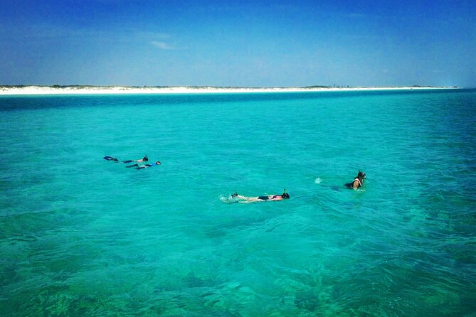 Two Hour Private Sightseeing/Dolphin Tour in Panama City Beach - Included Amenities and Provisions