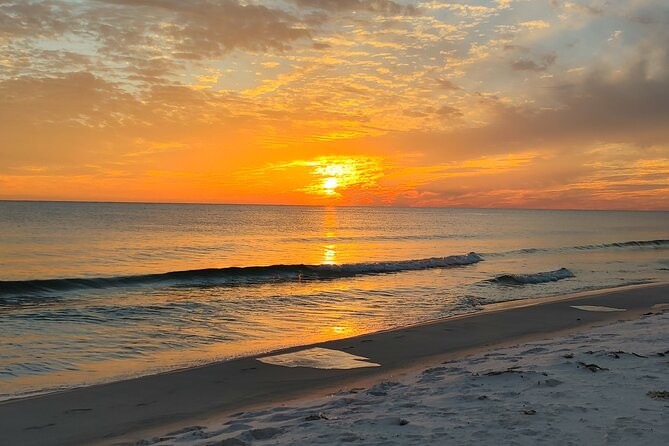 Two Hour Private Sightseeing/Dolphin Tour in Panama City Beach - Accessibility and Transportation