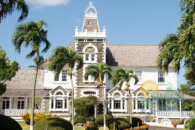 Two-Hour Tour and Beach Break Family Groups Only - Tour Schedule