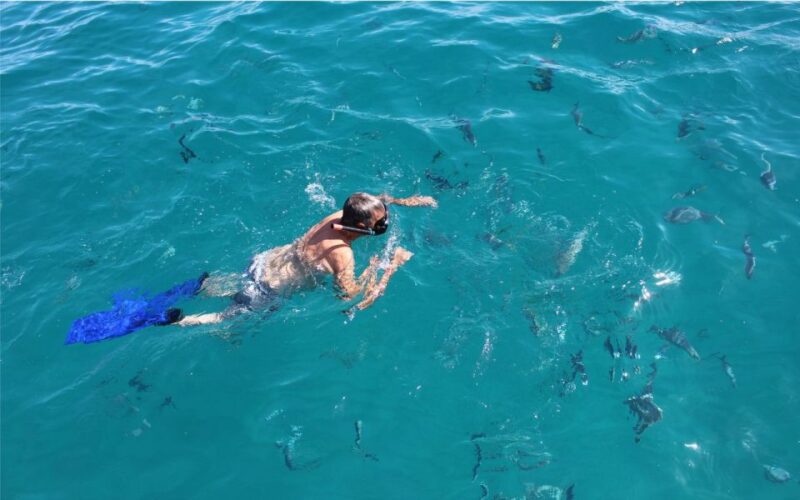 Two Hours Private Boat Tour at Cabo San Lucas Bay - Inclusions and Exclusions