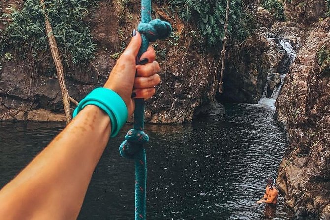 Two-In-One Day Trip: El Yunque and Bio Bay Tour With Transport - Customer Reviews and Feedback
